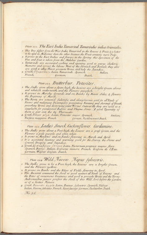 No. 56: The East India tamarind; Butterbur; Ladies smock, Cuckonflower; Wild naven