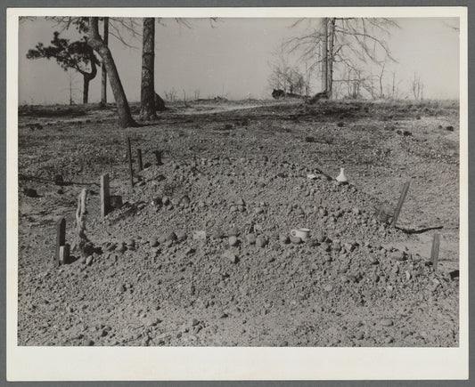Negroes' graveyard. Macon County, Alabama