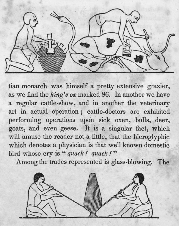 Herdsman branding an ox; men blowing glass