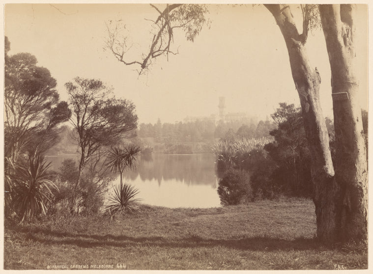 Botanical Gardens. Melbourne