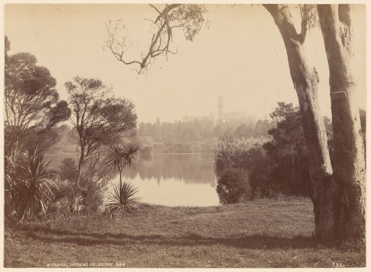 Botanical Gardens. Melbourne