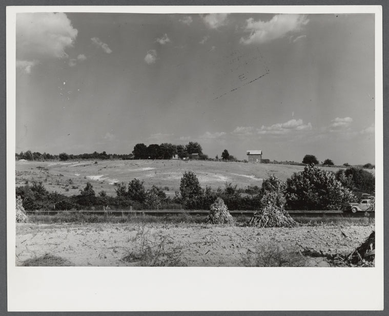 Erosion beginning to destroy farmland near Farmville, Virginia.