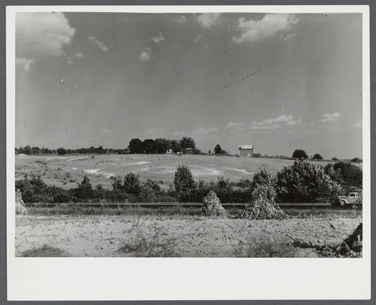 Erosion beginning to destroy farmland near Farmville, Virginia.