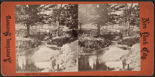 Bronx River, Woodlawn.