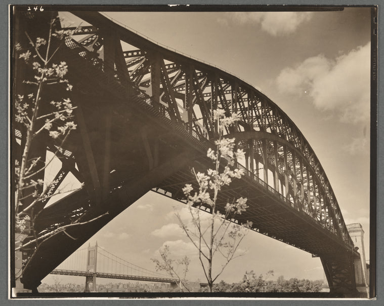Hell Gate Bridge: I, Central Steel Arch over East River looking toward west from Astoria Park, Queens