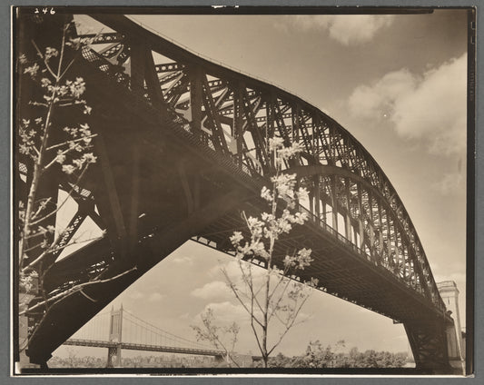Hell Gate Bridge: I, Central Steel Arch over East River looking toward west from Astoria Park, Queens