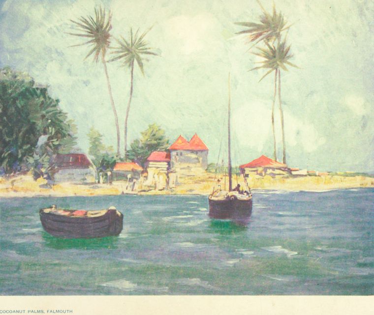 Cocoanut palms, Falmouth.
