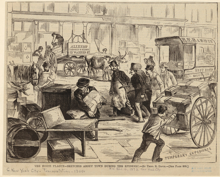 The horse plague -- sketches about town during the epidemic