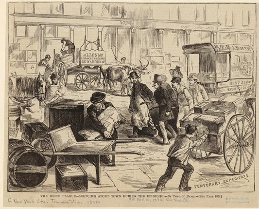 The horse plague -- sketches about town during the epidemic