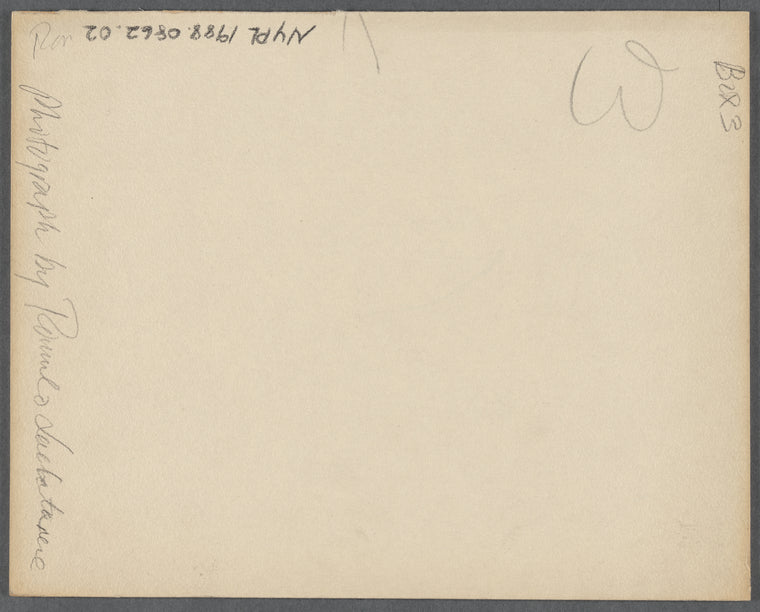 Large crowd of people smiling, some with raised hands