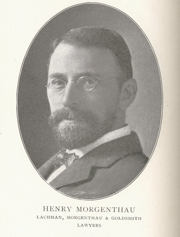 Henry Morgenthau, lawyer