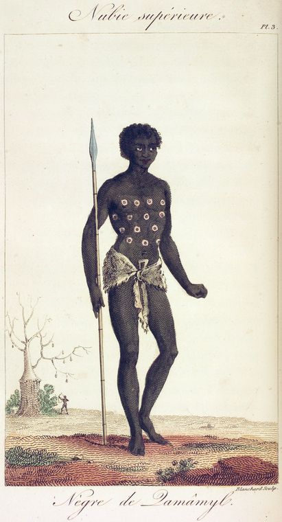 Negre de Zamamyl