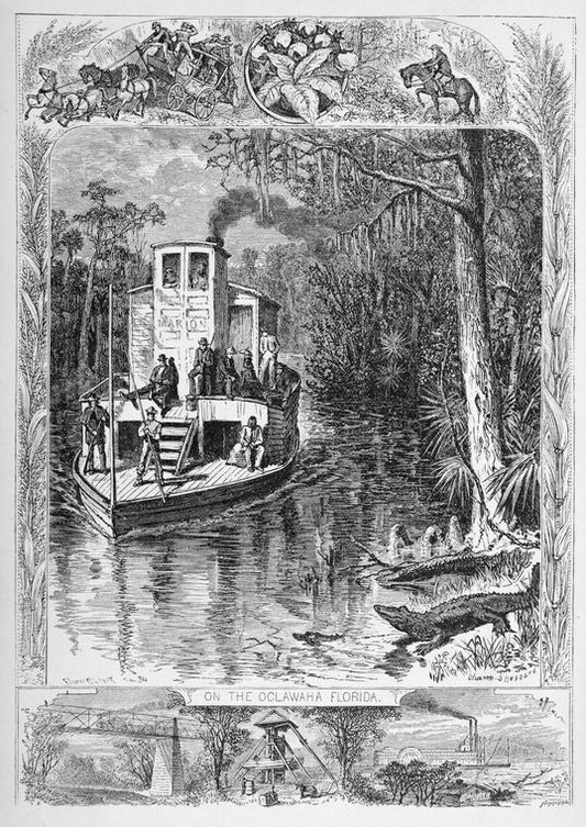 On the Oclawaha Florida