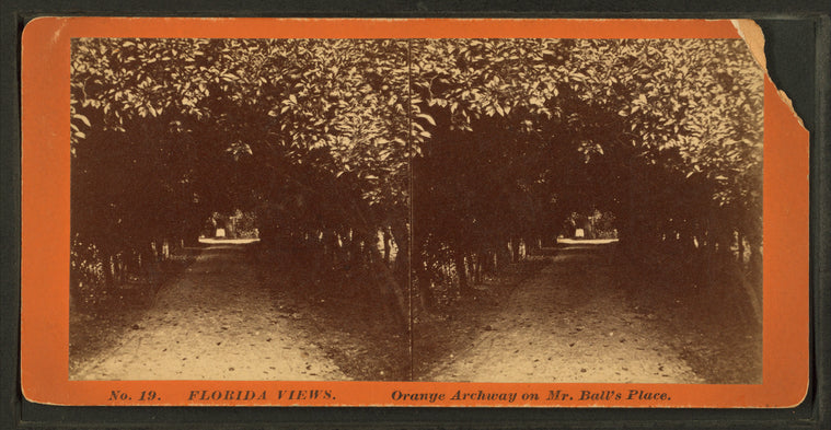 Orange Archway in Mr. Ball's place.