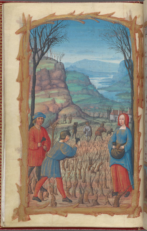 Full-page miniature of pruning vines, in March