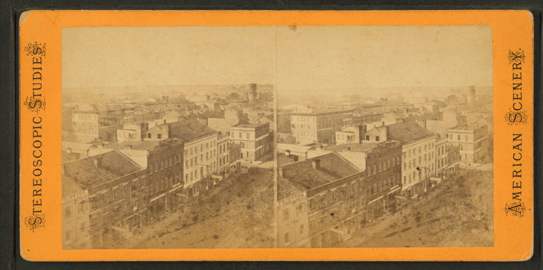 Bird's view of Savannah.