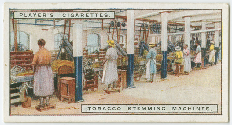 Tobacco stemming machines.