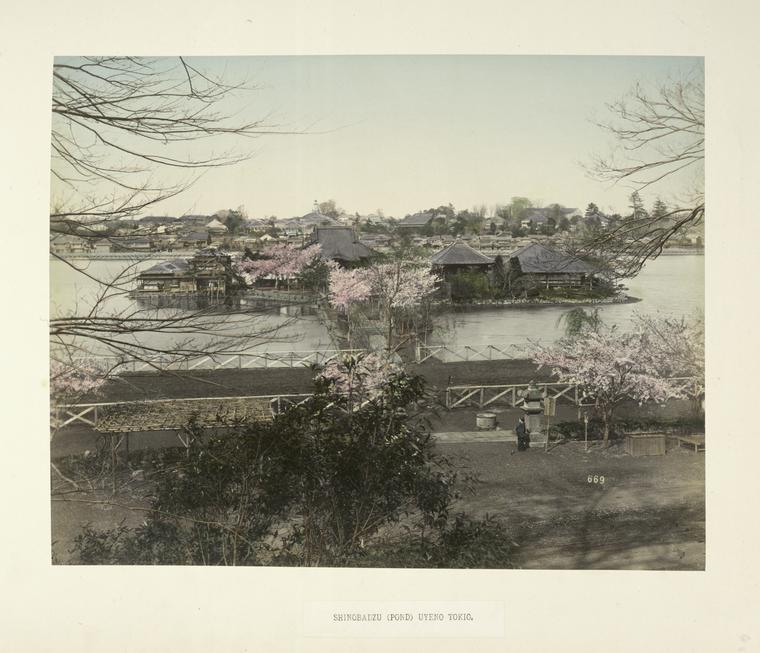 Shinobadzu (Pond) Uyeno Tokio