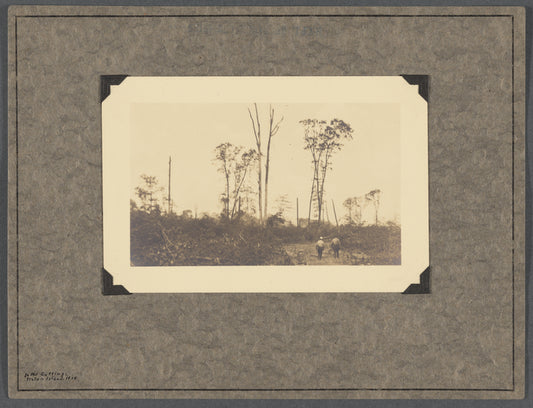 In the Guttings, Staten Island, 1924