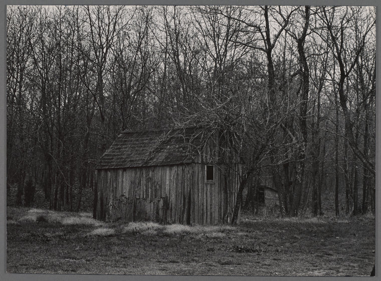 Wooden shed and trees