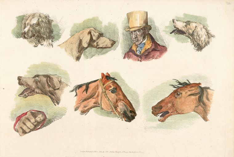Heads of dogs, horses and of a man.