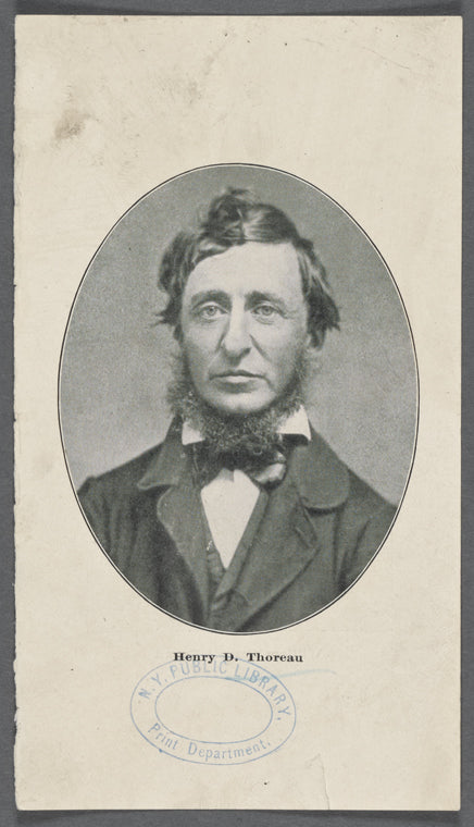 Henry D. Thoreau
