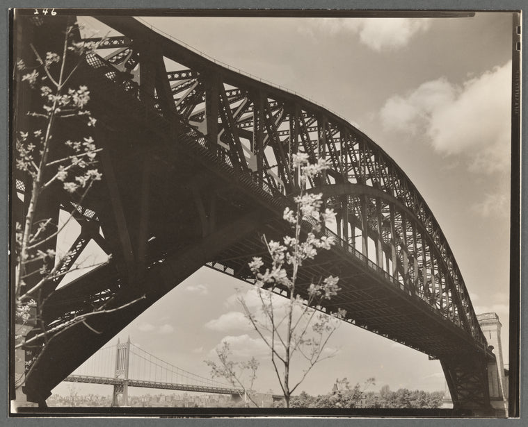 Hell Gate Bridge: I, Central Steel Arch over East River looking toward west from Astoria Park, Queens