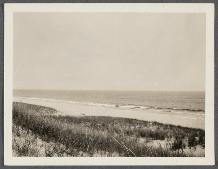 View. East Hampton Beach. Sand Dunes. Surf at the beach. East Hampton, East Hampton