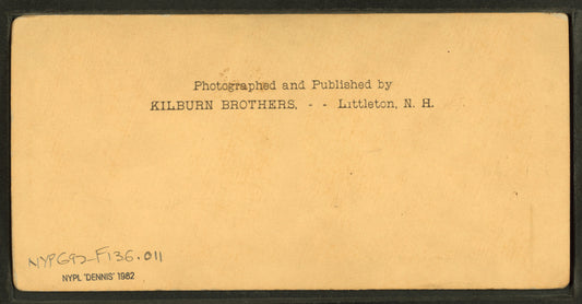 Distinguished southerners, grinding cane. [Children chewing sugar cane on the porch.]