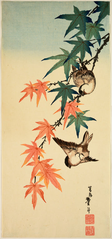 Two birds on maple branch