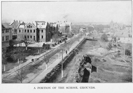 A portion of the school grounds