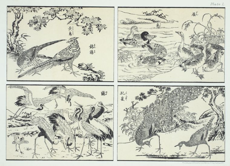 Facsimiles of Japanese woodcuts, reduced by photolithography, from the pages of one of the common scholl books of the country.