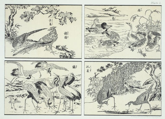 Facsimiles of Japanese woodcuts, reduced by photolithography, from the pages of one of the common scholl books of the country.