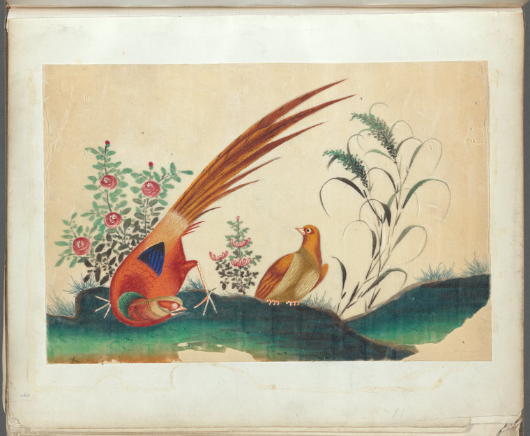 Two birds, flowers