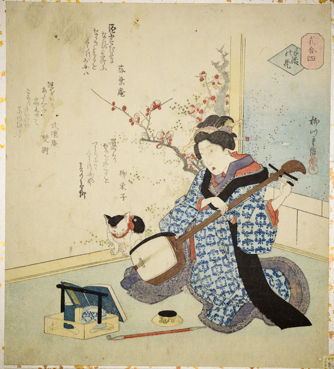 Lady and samisen