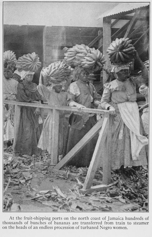 At the fruit-shipping ports on the north coast of Jamaica hundreds of thousands of bunches of bananas are transferred from train to steamer on the heads of an endless procession of turbaned Negro women.
