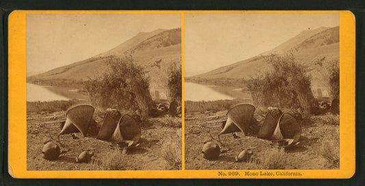 Mono Lake, California. [no. 969].