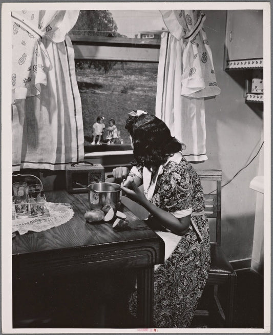 Anacostia, D.C. Frederick Douglass housing project.: Mother watching her children as she prepares the evening meal