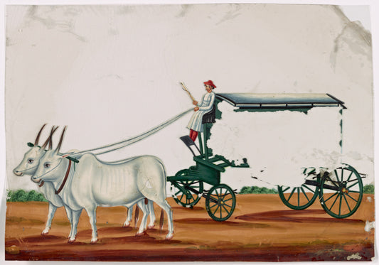 Green wagon pulled by two white oxen, driver in white robe