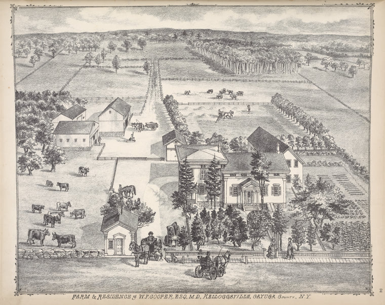 Farm & Residences of W.F. Cooper, ESQ., M.D., Kelloggrille, Cayuga County., N.Y.