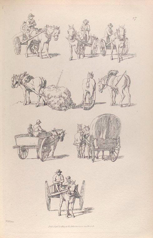 Horses pulling carts, hay, sleds, and wagons