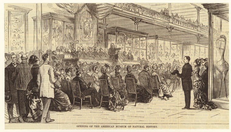 Opening of the American Museum of Natural History