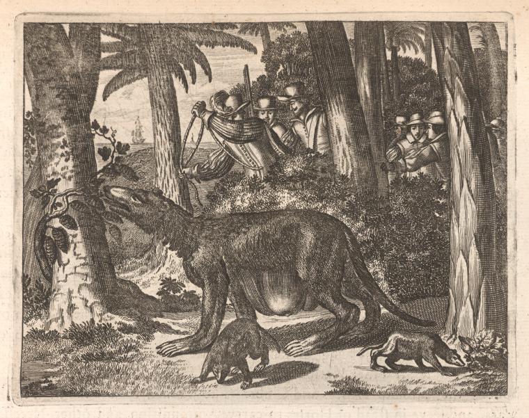 Between these Trees he saw as strange a Monster...