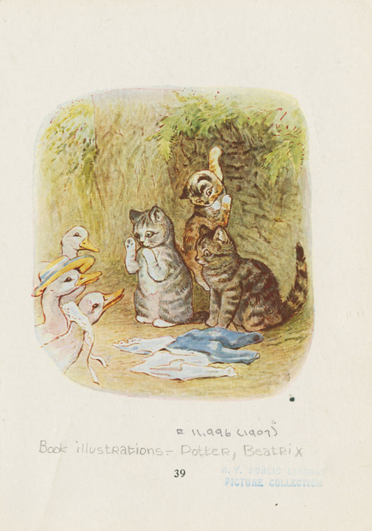 Mr. Drake Puddle-Duck advanced in a slow sideways manner.