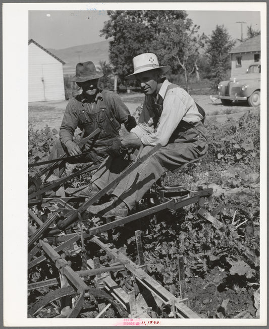 Members of FSA cooperative sugar beet cultivator. Box Elder County, Utah