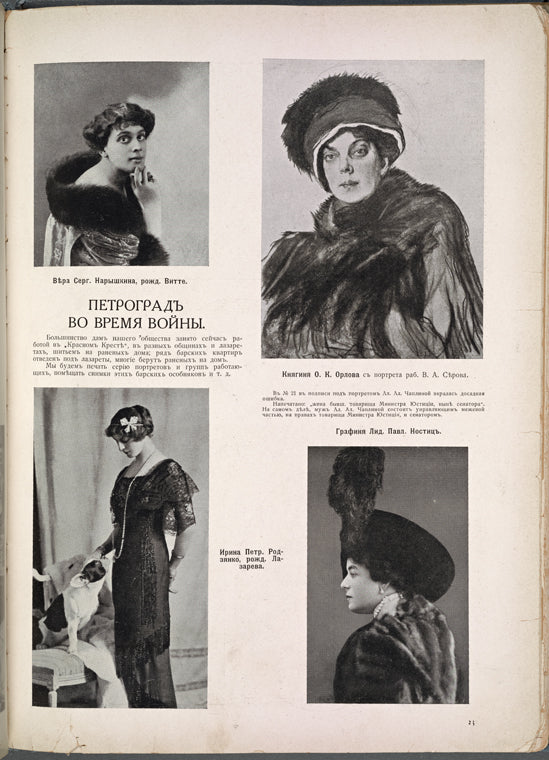 Petrograd vo vremia voiny