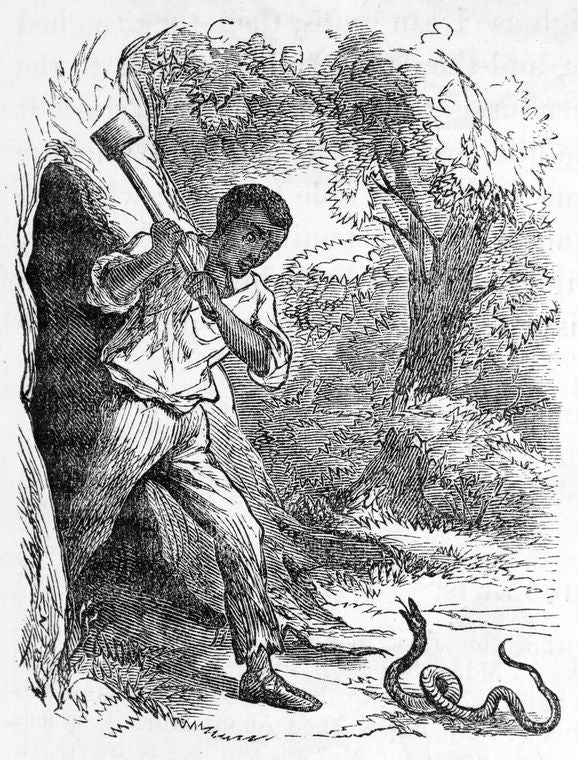 Living in a hollow tree.