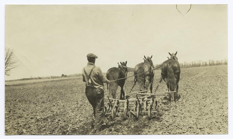 Farmer on horse drawn tractor