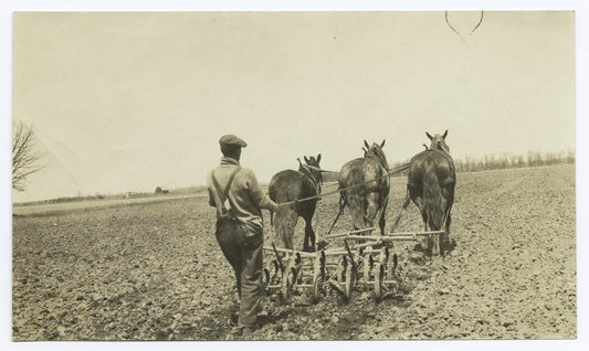 Farmer on horse drawn tractor