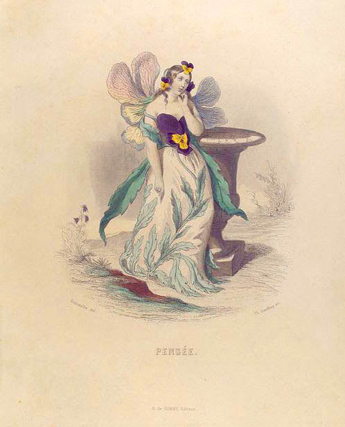Pensée. [Pansy]
